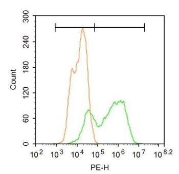 FAP1 Polyclonal Antibody