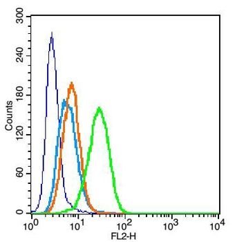 CRTAM Polyclonal Antibody