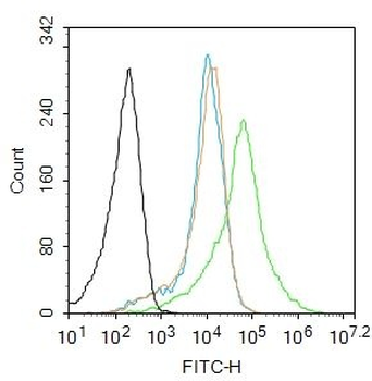 GLT25D1 Polyclonal Antibody