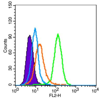 SNRNP200 Polyclonal Antibody