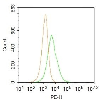 Monoamine oxidase A+B Polyclonal Antibody