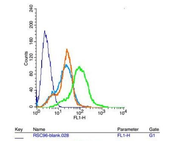 MC4 Receptor Polyclonal Antibody