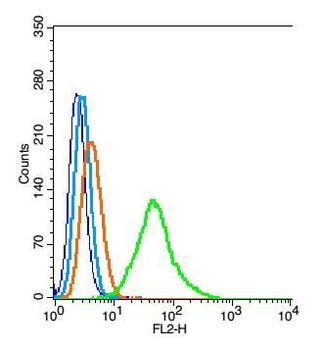 FAM98A Polyclonal Antibody