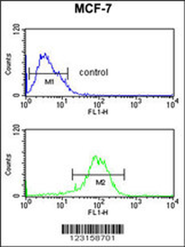 NR1H3 Antibody (Center)
