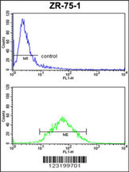 PXMP4 Antibody (Center)