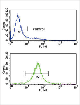 IL10 Antibody (Center)