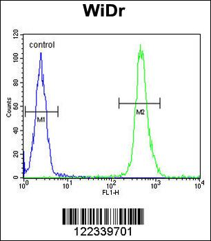 VPS26A Antibody (Center)