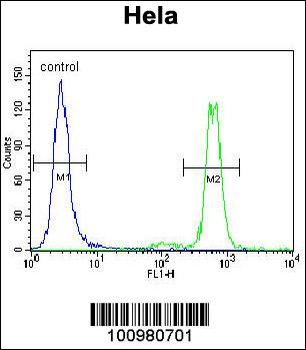 MAPK3 Antibody (N-term)