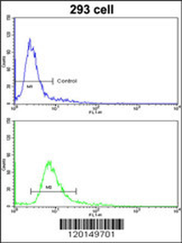 HOXA5 Antibody (C-term E211)