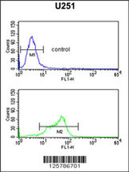 MAGT1 Antibody (N-term)