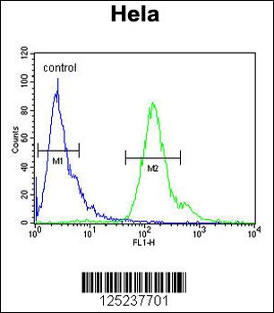 MMGT1 Antibody (C-term)