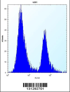 PEG10 Antibody (N-term)
