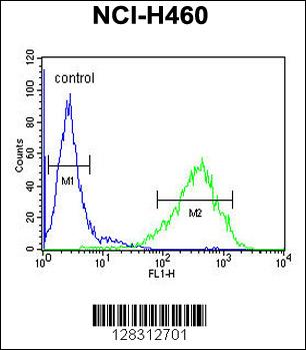 RAB3IL1 Antibody (C-term)