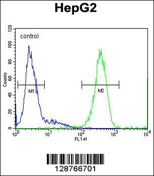 SOHLH1 Antibody (N-term)