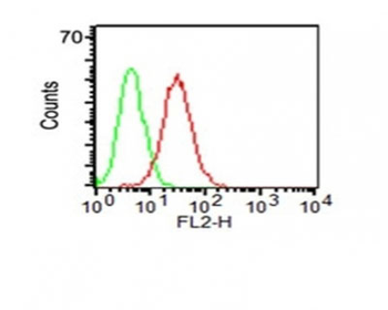 CD34 (Hematopoietic Stem Cell & Endothelial Marker) Antibody - With BSA and Azide