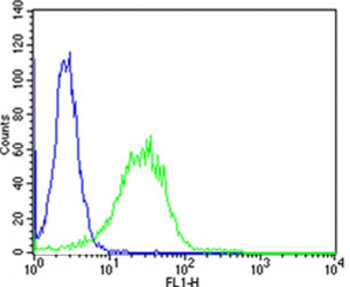 PIP4K2A Antibody (C-term)