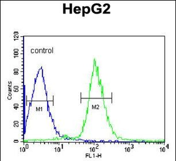 SERPINC1 Antibody (C-term)