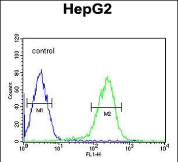 SMAD6 Antibody (Center)
