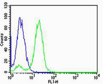 HIST1H2AG Antibody (Center)