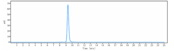Anti-TNFRSF7 / CD27 Reference Antibody