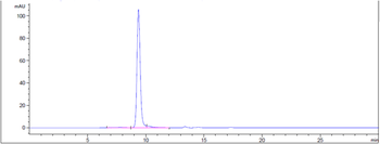 Anti-PMEL Reference Antibody