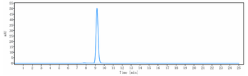 Anti-ICAM3 / CD50 Reference Antibody