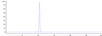 Anti-AGER / RAGE Reference Antibody (XT-M4)