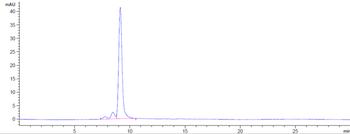 Anti-SOST / Sclerostin Reference Antibody (setrusumab)