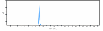 Anti-ERBB2 / HER2 / CD340 Reference Antibody (gancotamab)