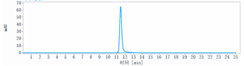 Anti-VEGF Reference Antibody
