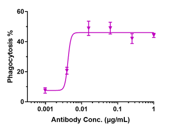 Anti-CD47 Reference Antibody (lemzoparlimab)