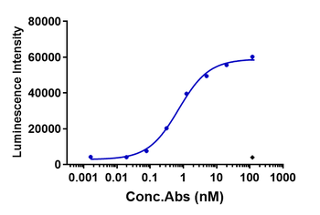 Anti-CLDN6 Reference Antibody (IMAB027)
