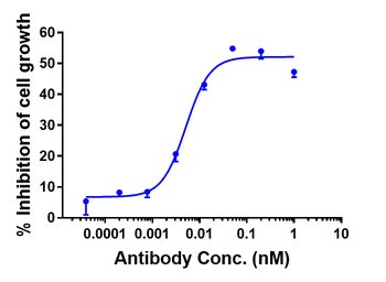 Anti-AXL / UFO Reference Antibody (tilvestamab)