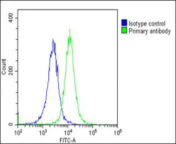 IL1RAP Antibody (Center)