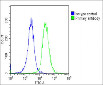 ATP1A4 Antibody (N-Term)