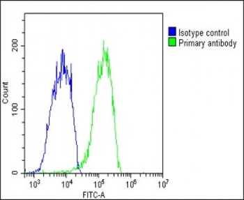 CHRNE Antibody (Center)