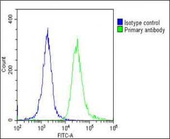TOMM40 Antibody (N-Term)