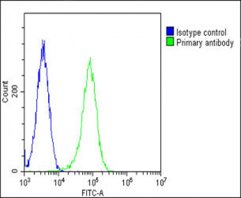 HSD17B10 Antibody (Center)