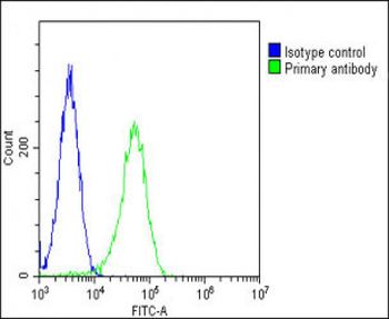 PGAP1 Antibody (N-Term)