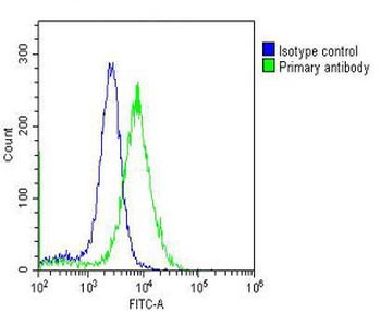 MCM3 Antibody
