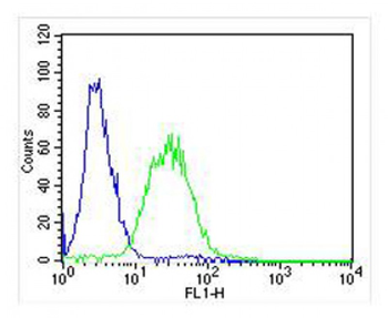AK2 Antibody (Center)