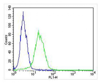 (Mouse) Shh Antibody (N-term)
