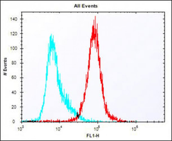 Mouse Cldn6 Antibody (C-term)