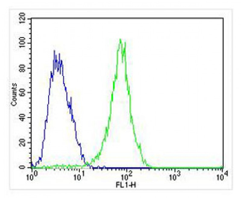 FGF9 Antibody