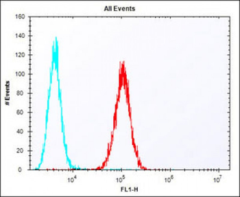 (Mouse) Eras Antibody (N-term)