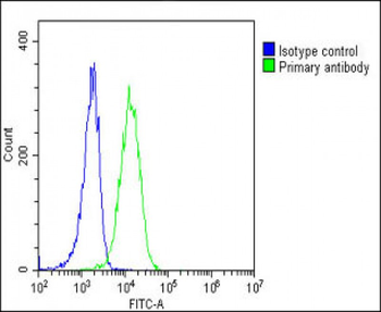 EPOR Antibody (C-term)