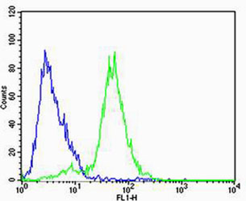 FXYD6 Antibody (C-term)