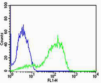 AGAP8 Antibody (C-term)