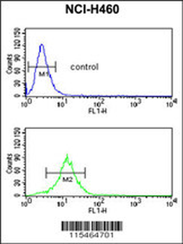 SDR Antibody (Center)