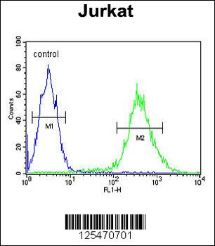 TM173 Antibody (C-term)